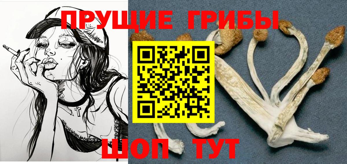 Галлюциногенные грибы прущие грибы  Вход с VPN  Вятские Поляны 
